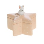 Little Tooth Box - Beige Star with a Small Mouse