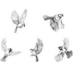 Swallows Wall Sticker