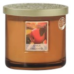 Two-Wick Ellipse Candle Orchard Apple - Heart and Home