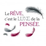 Le rve c'est le Luxe de la pense wall sticker