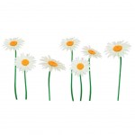 Daisies Adhesive decoration board