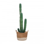 Wall stickers - Cactus