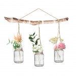 Wall Decorative Sticker Jars and Flowers