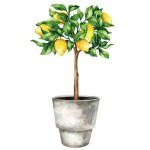 Wall Sticker Lemon Tree