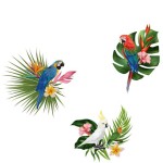 Exotic Parrots Wall Sticker