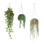 Wall Sticker Hanging Plants