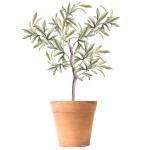 Wall Sticker Olive Tree