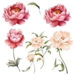 Wall Sticker Peonies