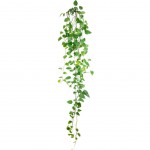 Wall Stickers - Ivy branches