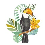 Toucan Wall Sticker