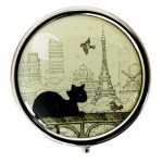 Pill Box Kitten in Paris