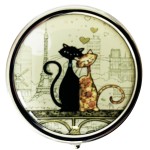 Pill Box Kitten in Paris