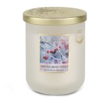 Large soy wax candle Winter Berries - Heart and Home