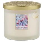 Two-Wick Ellipse Candle Winter Berries - Heart and Home