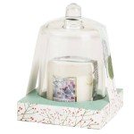 Heart and Home Candle and Cloche Set 30 Hours - Winter Berries