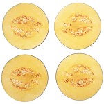 Set of 4 Melon Coasters by Cbkreation