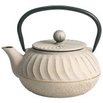 Japanese style cast iron teapot 0.7 liter