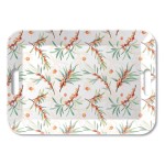 Large rectangular tray sea buckthorn